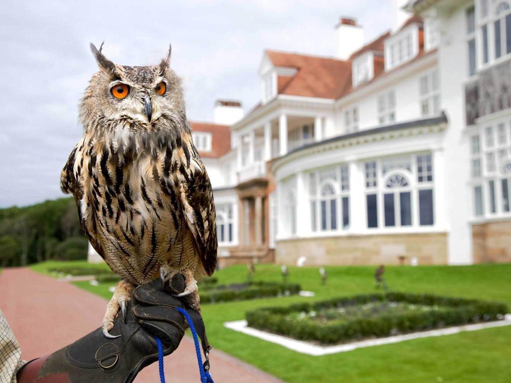 Trump Turnberry Eksteriør billede